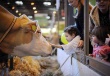 Во Франции открылась выставка «Саммит животноводства»