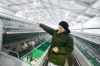 Кроличье новоселье