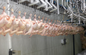 У России есть шанс увеличить экспорт мяса птицы до 1,5 млн тонн в год