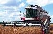 Хозяйства Кунгурского района приступили к уборке зерновых