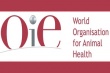 За две недели в мире зафиксировано 185 вспышек опасных болезней животных