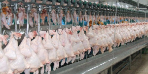 Группа «Ресурс» начала экспорт мяса птицы с использованием железной дороги