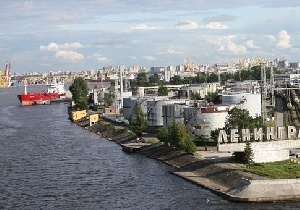 В Петербург из Новой Зеландии пытались провести баранину под видом говядины