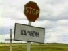 Свиньям не быть на выставках