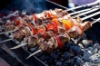 Поход на шашлыки ударит по карману россиян
