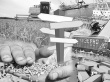 Зерновой рынок: нужен ли регулировщик?