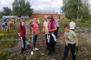 Кубанских школьников научат аграрному делу