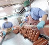 Очередная вспышка АЧС в Волгоградской области грозит уничтожением всего поголовья Очередная вспышка АЧС в Волгоградской области грозит уничтожением всего поголовья