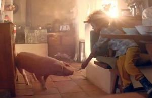 Свиноводы Великобритании раскритиковали рекламный ролик интернет-магазина Amazon 