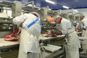 Дагестан до 2019г направит 830 млн руб. на развитие переработки продукции животноводства