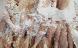 В Санкт-Петербурге Управление Россельхознадзора оформило документы для экспорта в Либерию почти 26 тонн курицы