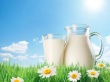 Мировое потребление молока к 2050 году вырастет на 70 процентов