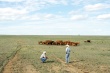 Минсельхоз США инвестирует $ 18 млн. в подготовку молодых фермеров и скотоводов