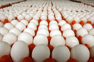Американским бизнесменам, продававшим куриные яйца с сальмонеллой, предъявлены уголовные обвинения