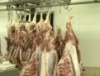 Поголовье коров и свиней в Пермском крае снижается, но возрождается овцеводство