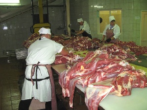 В Макарьевском районе Костромской области завершается строительство мясокомбината