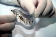 Бизнес выступил против введения RFID-меток для пищевой продукции