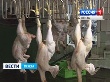Пензенская область вышла в лидеры по производству мяса птицы в ПФО