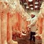 Tonnies Fleisch и «Агроимпорт» планируют построить в Воронежской области мясоперерабатывающий завод за 8 млрд рублей Tonnies Fleisch и «Агроимпорт» планируют построить в Воронежской области мясоперерабатывающий завод за 8 млрд рублей