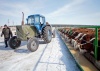 Дальневосточные аграрии будут перенимать опыт в разведении КРС у амурских производителей