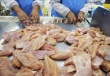 Украина увеличила производство мяса птицы и свинины, сократила – говядины