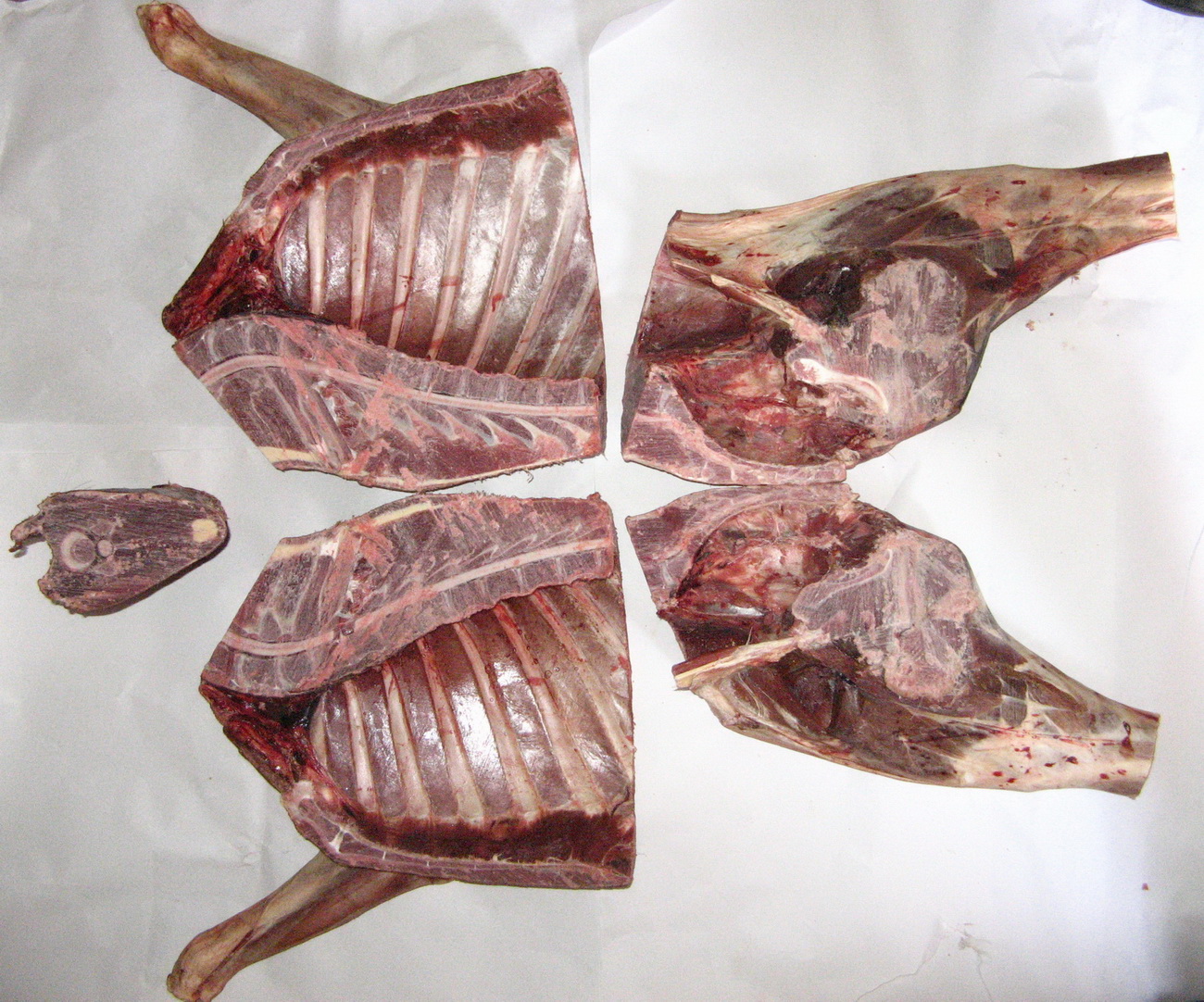 Оленина - диетическое мясо оленя