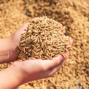 «Дамате» построит комбикормовый завод за 1,2 млрд рублей