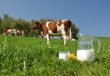 Великобритания хочет оставить географическую маркировку продуктов по схеме ЕС после Brexit