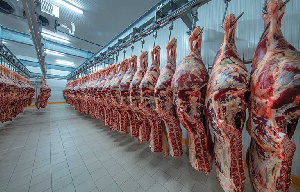«КриоФрост» реконструирует мясокомбинат в Калининградской области