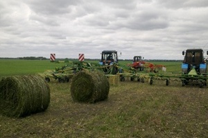 В Тюменской области обеспечат сытую зимовку для скота