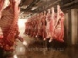  Более 0,5 млрд. долларов составила стоимость бразильской свинины для России за первые 10 месяцев текущего года