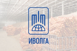 В Челябинской области могут ликвидировать предприятие «Иволга-холдинга»