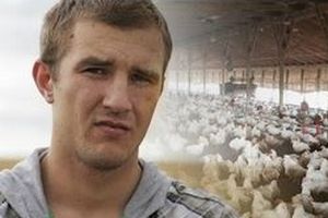 Шесть литовских граждан провели 4 года в рабстве на птицефабрике в Великобритании Шесть литовских граждан провели 4 года в рабстве на птицефабрике в Великобритании