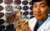 В Японии создали искусственное мясо на основе какашки
