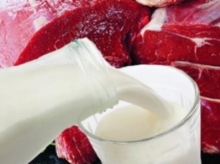 Литва собирается возобновить экспорт молочных и мясных продуктов в Украину