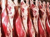 80 туш свиней обнаружены в зоне АЧС в Волгоградской области