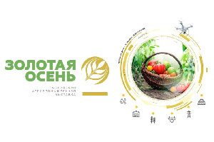 Чем Татарстан удивит посетителей «Золотой осени-2019»