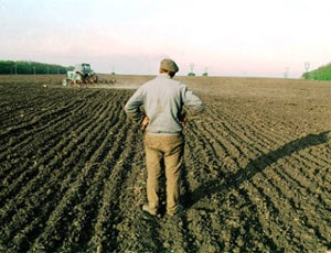 Российским аграриям нужно вернуть землю — эксперт