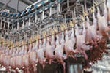 В 2012 году в России наблюдается существенный прирост производства мяса птицы