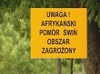 В Белостоцком повяте Польши зафиксирован второй очаг АЧС в фермерском хозяйстве