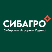 «Сибагро» в лидерах по производству свинины и мяса курицы в России