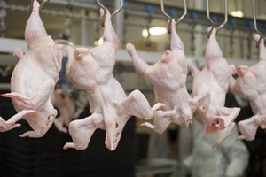 Цены на куриное мясо обновили максимумы