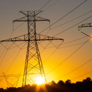 Один из крупнейших в РФ племенных репродукторов индейки подключили к электросетям на Урале