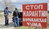 Клинчан предупредили об африканской чуме свиней