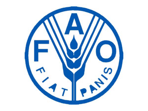 ФАО: первый прогноз по продовольственным рынкам на 2014-2015 гг.