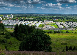 Пермский свинокомплекс по итогам 10 месяцев отмечает рост производства