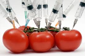 Почему Россия и Китай запретили ГМО?