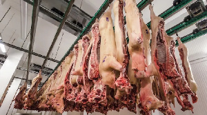 «Агроэко» изменила параметры свинокомплексов в Воронежской области после протестов