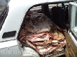 Что делается на Ставрополье для пресечения распространения и ликвидации бруцеллеза