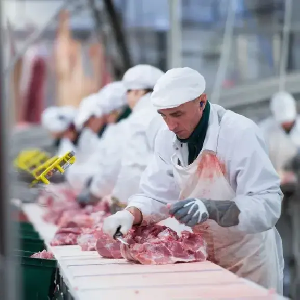 Производители и переработчики мяса пострадали от роста цен на корма и аминокислоты